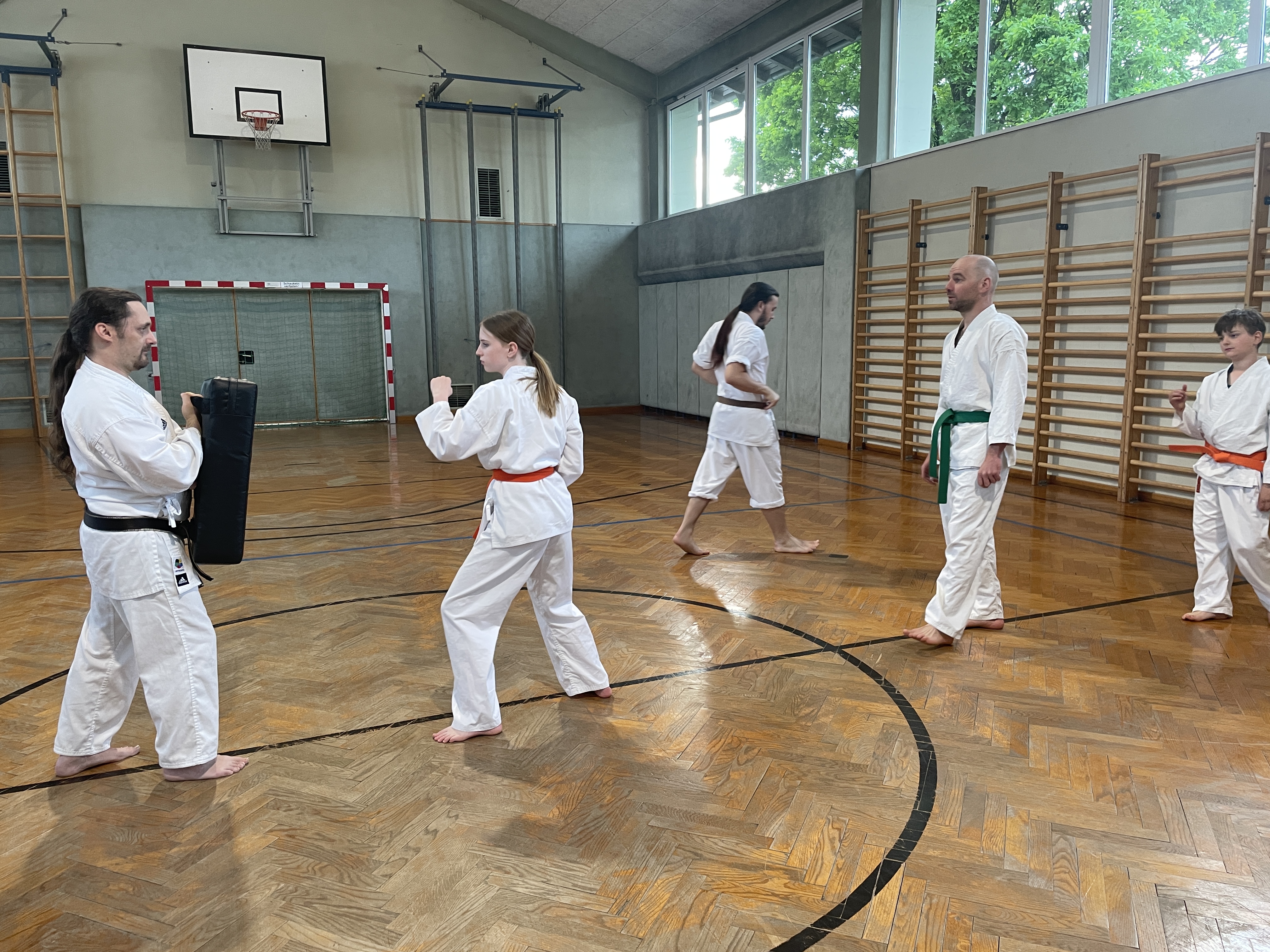 Schlagpolster-Training